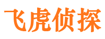 光泽侦探公司